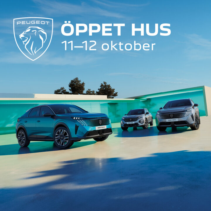 Peugeot-se-banners-_02
