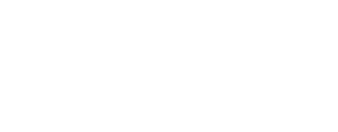 LEAPMOTOR-LOGO